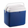 Food Cooler Box